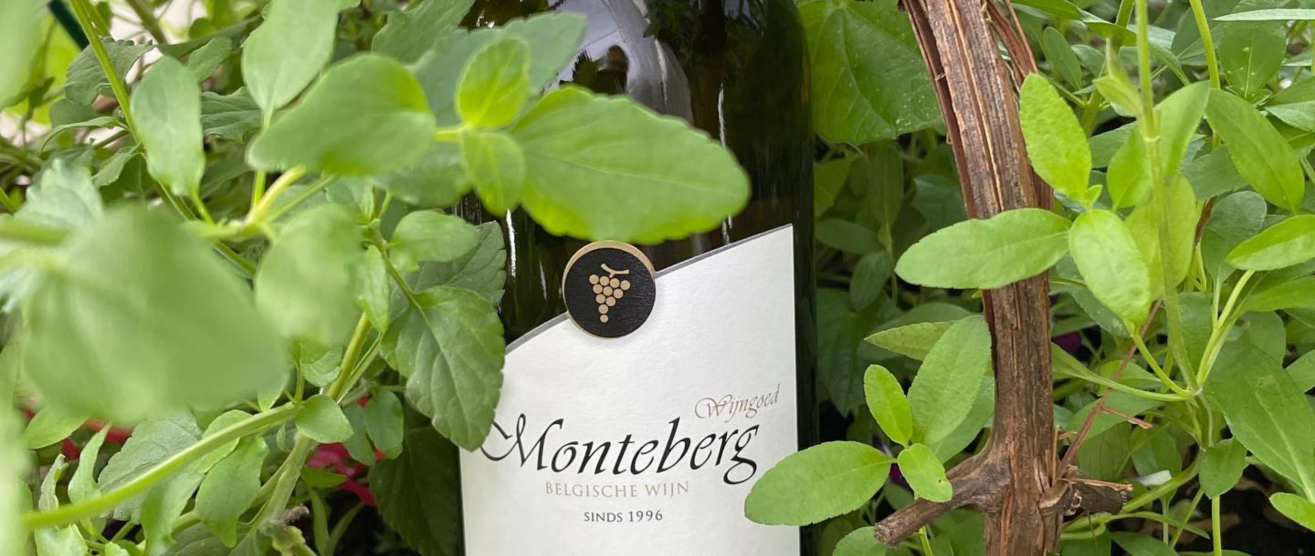 Nieuw topjaar in de wijnrekken: Monteberg Pinot Gris 2020 en Kerner 2020